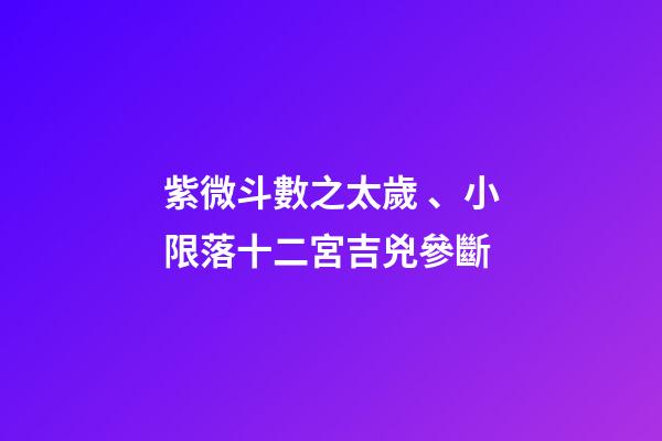 紫微斗數之太歲、小限落十二宮吉兇參斷